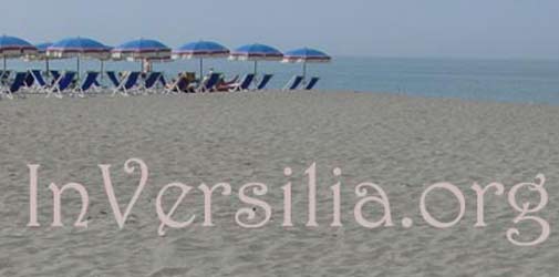 InVersilia.org
